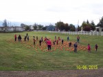 Kids Getting their Pumkins